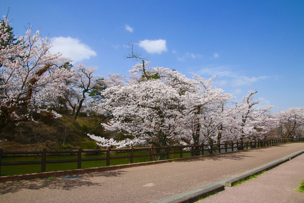 亀ケ城公園の画像 - 4枚目