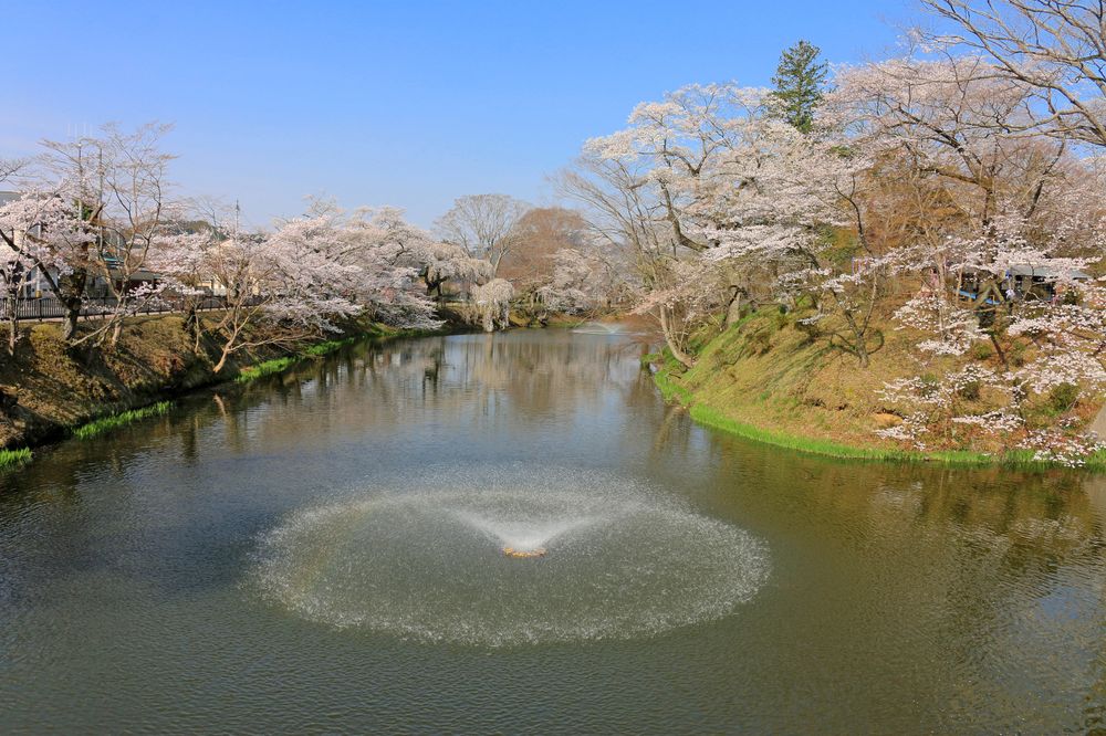 亀ケ城公園の画像 - 5枚目