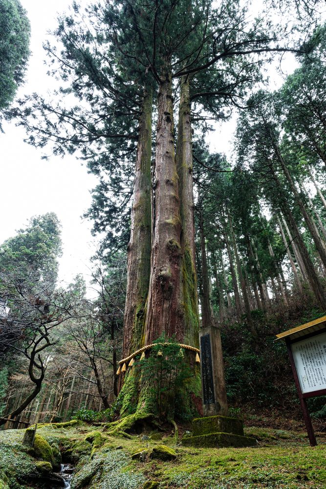 御岩神社の画像 - 4枚目
