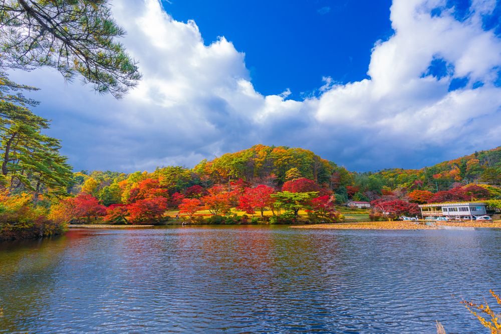 花と歴史の郷 蛇の鼻の画像 - 2枚目