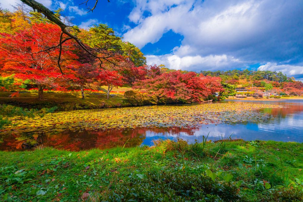 花と歴史の郷 蛇の鼻の画像 - 3枚目