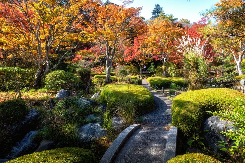 翠楽苑の画像 - 2枚目