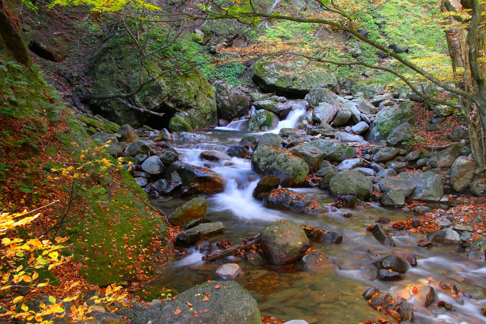 遠藤ヶ滝の画像 - 3枚目