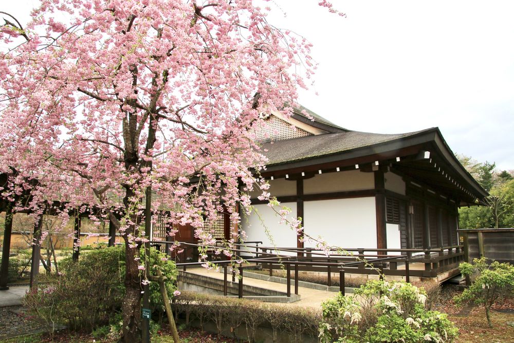 勿来の関公園の画像 - 5枚目