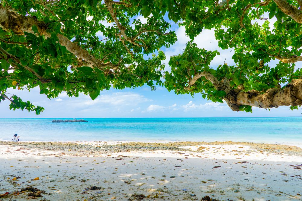 カイジ浜 (皆治浜)】の周辺スポット・アクセス・口コミ - Prism Japan