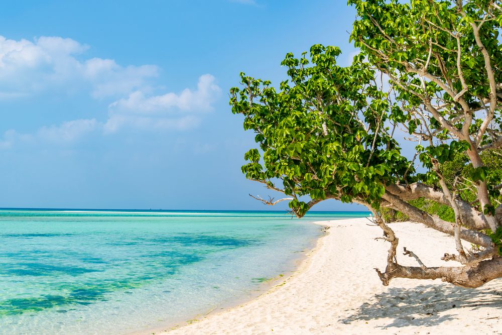 カイジ浜 (皆治浜)】の周辺スポット・アクセス・口コミ - Prism Japan