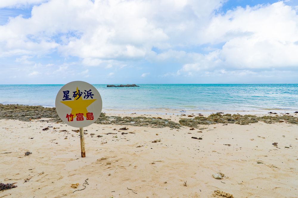 海ページです ペプラムラガーシャツ