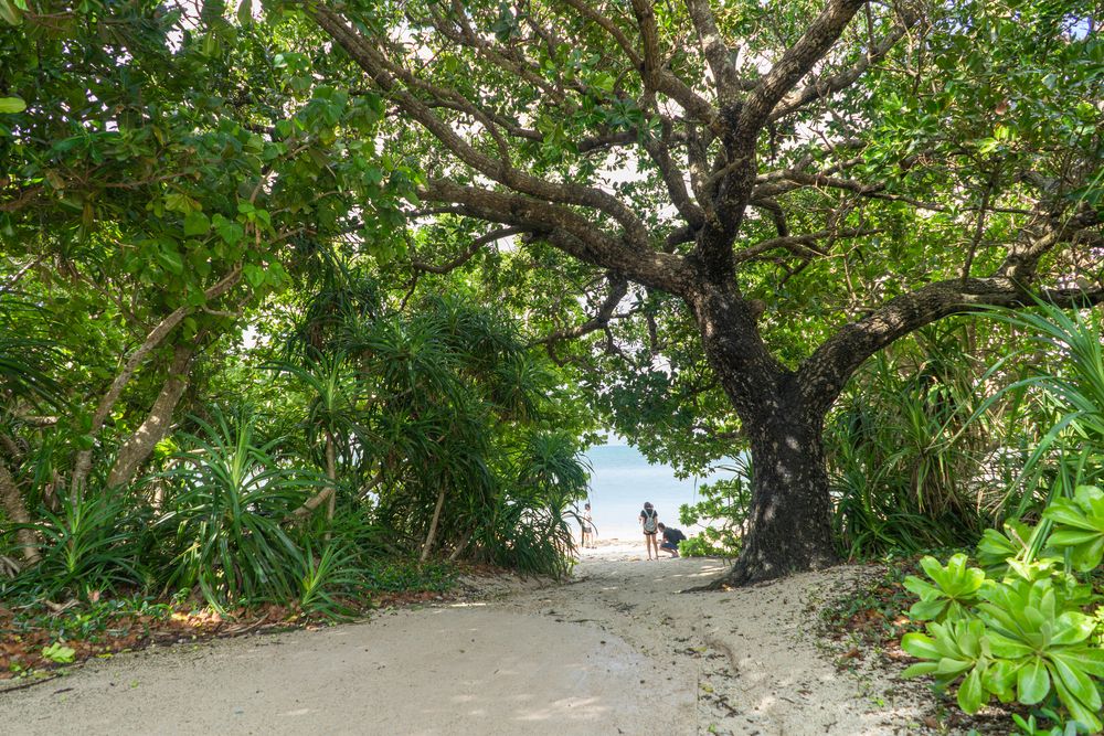 カイジ浜 (皆治浜)】の周辺スポット・アクセス・口コミ - Prism Japan