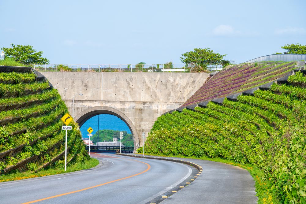 ニライ橋･カナイ橋の画像 - 3枚目