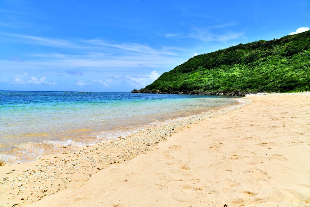 吉野海岸の画像 - 6枚目