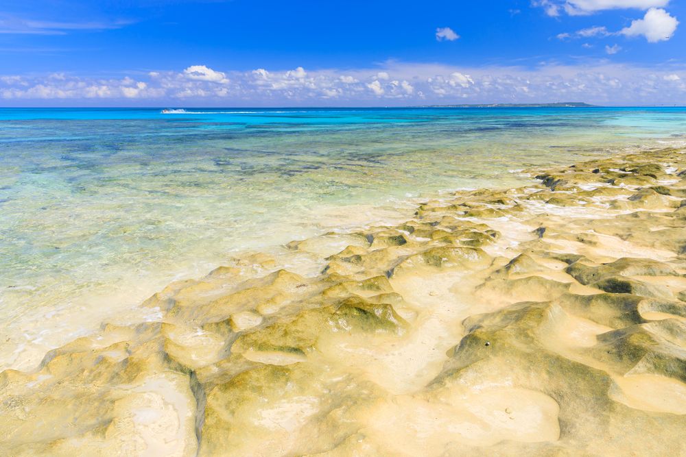 長間浜の画像 - 3枚目