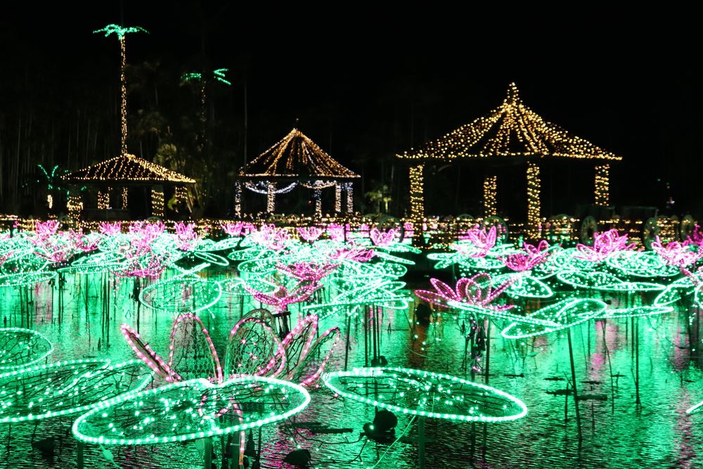 美らヤシパークオキナワ・東南植物楽園の画像 - 5枚目