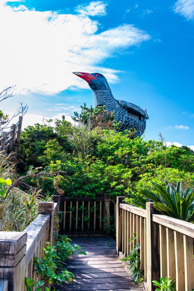 やんばるくいな ヤンバルクイナ展望台 | 沖縄観光情報WEBサイト おきなわ物語