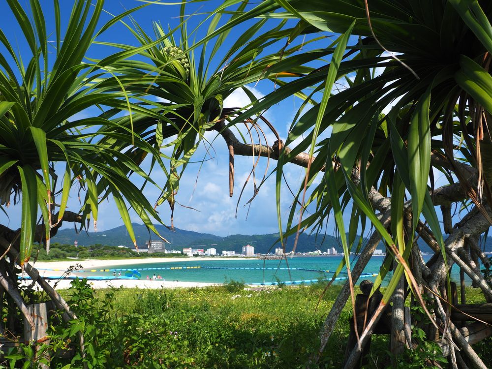 21世紀の森ビーチ】の周辺スポット・アクセス・口コミ - Prism Japan