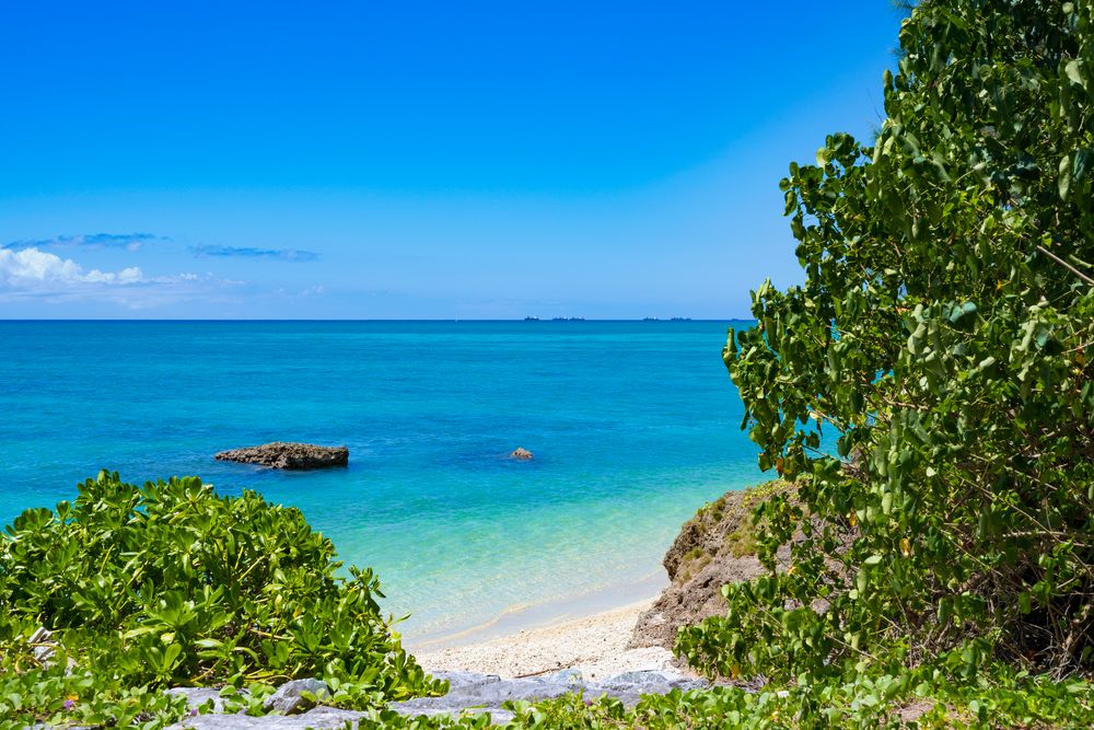 21世紀の森ビーチ】の周辺スポット・アクセス・口コミ - Prism Japan