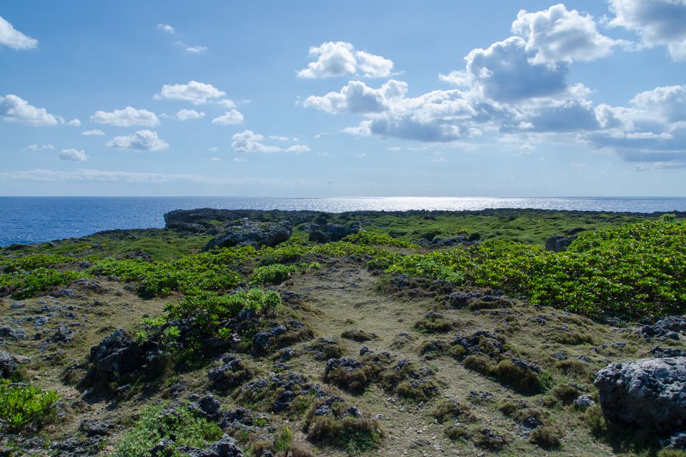 高那崎の画像 - 3枚目