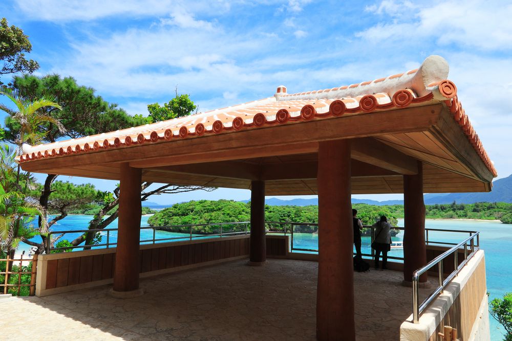 岸本ウラチ　ヤンバルクイナ 岸本ウラチ ヤンバルクイナ