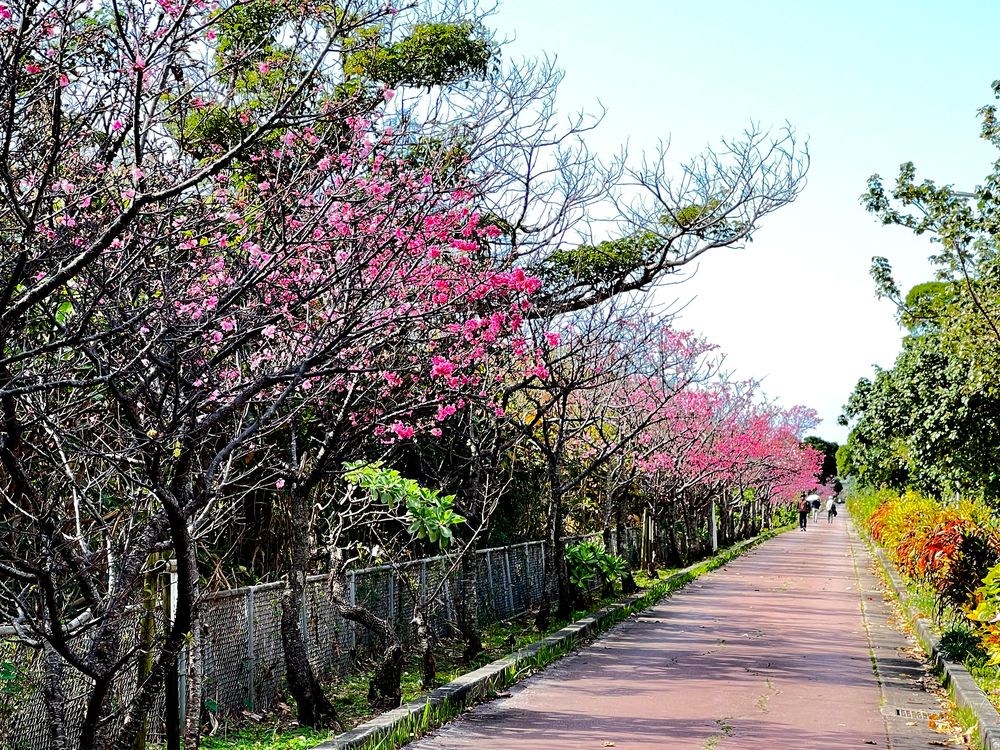 漫湖公園 古波蔵地区の画像 - 2枚目