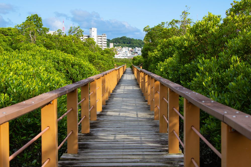 漫湖公園 古波蔵地区の画像 - 3枚目