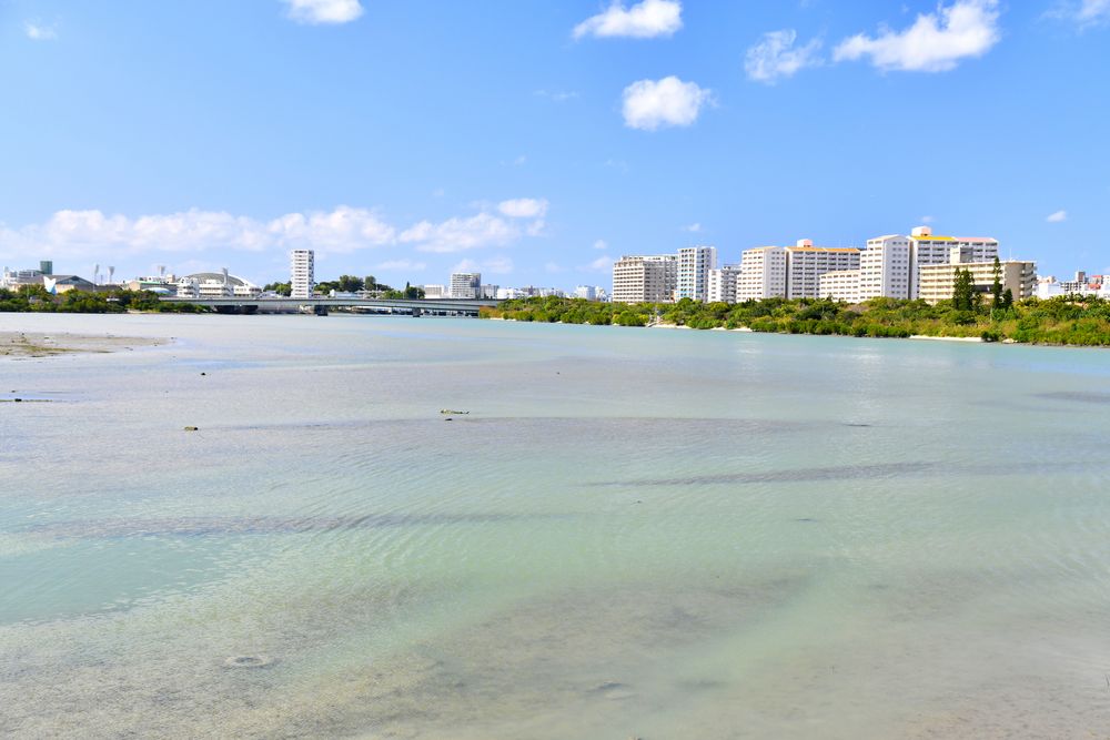 漫湖公園 古波蔵地区の画像 - 4枚目