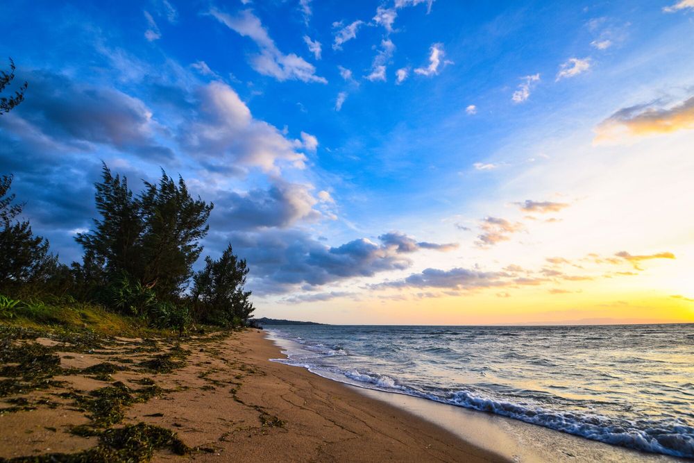 アイドリング！！！ DVD BOX 4点 万座ビーチ 万座ビーチ2010 石垣島 アイドリング!!! IN 沖縄 万座ビーチ2010グラビアアイドルのDVD