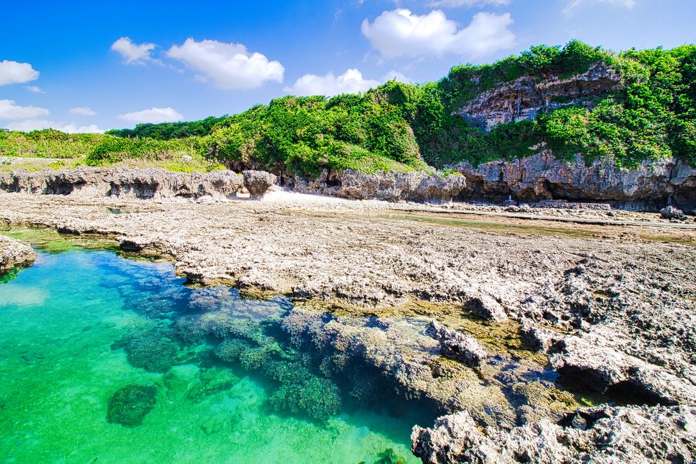 大度海岸の画像 - 3枚目
