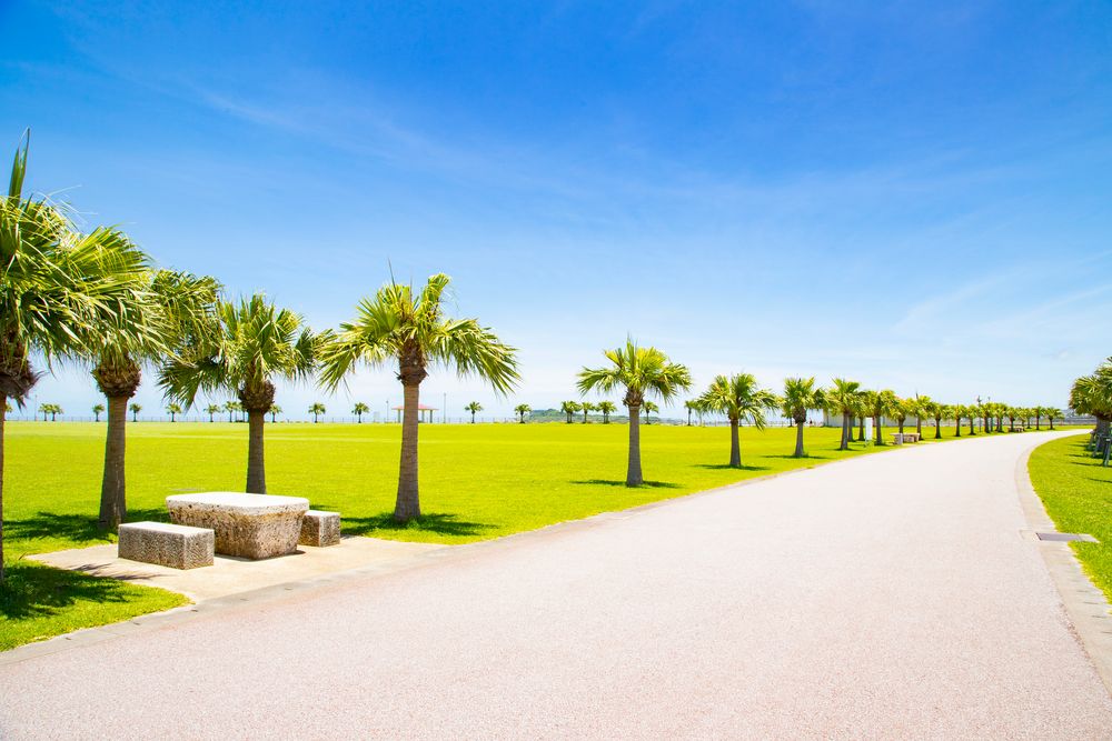 豊崎海浜公園の画像 - 5枚目