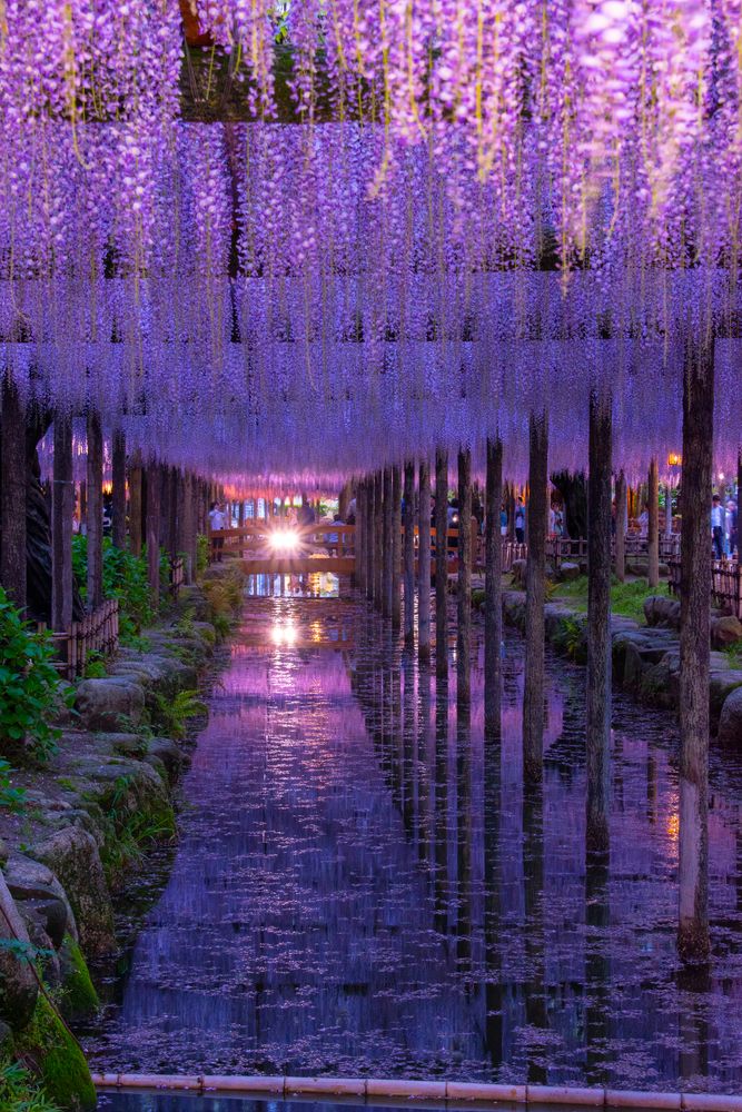 天王川公園の画像 - 3枚目