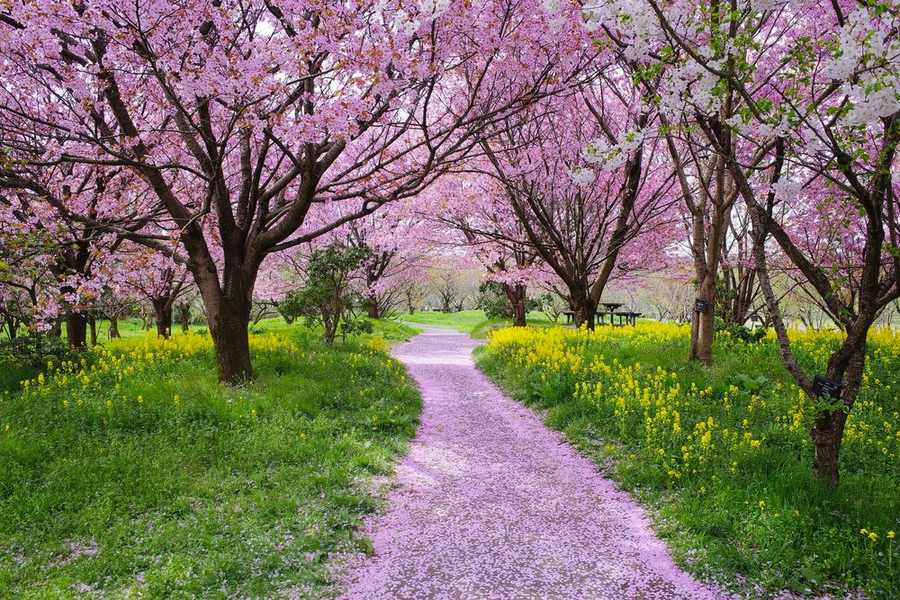 富山県中央植物園の画像 - 3枚目