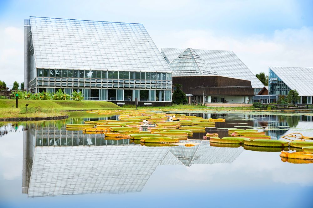 富山県中央植物園の画像 - 5枚目