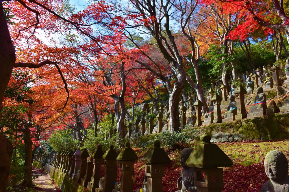 五百羅漢の画像 - 2枚目
