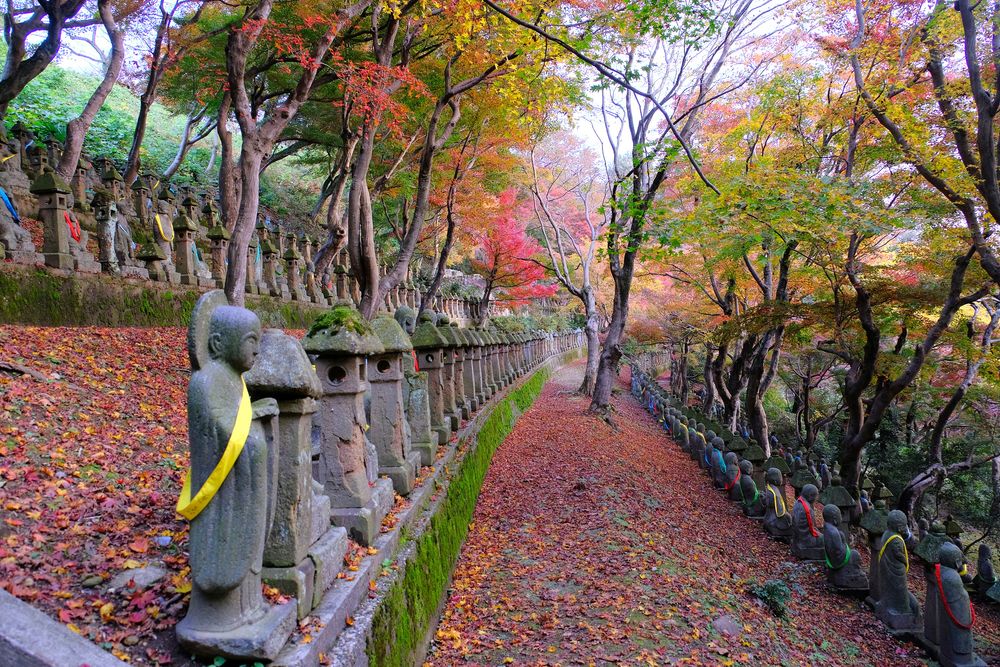 五百羅漢の画像 - 3枚目