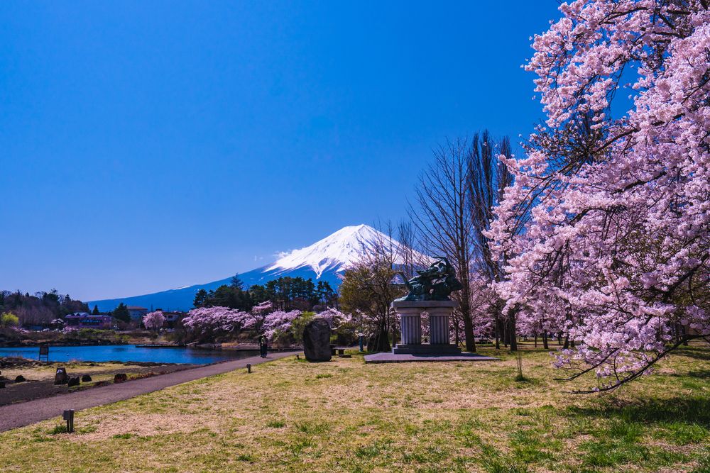 大池公園