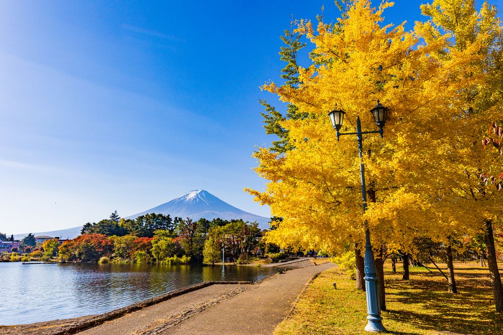 大池公園の画像 - 3枚目