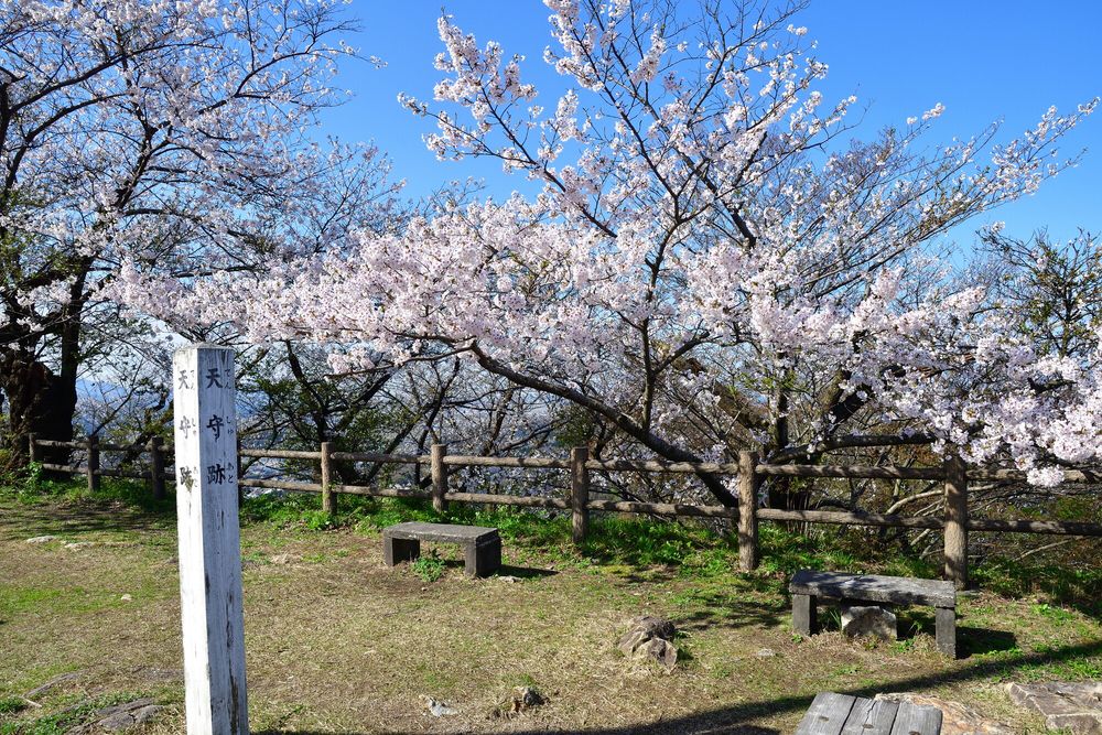 村上城跡の画像 - 3枚目