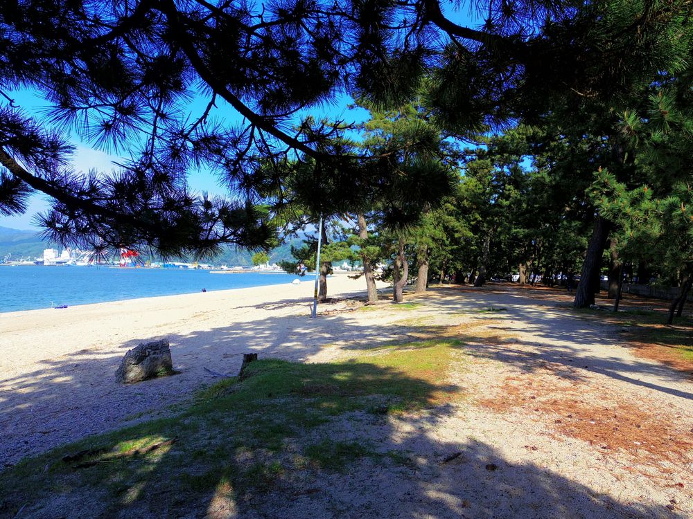 松原公園の画像 - 4枚目