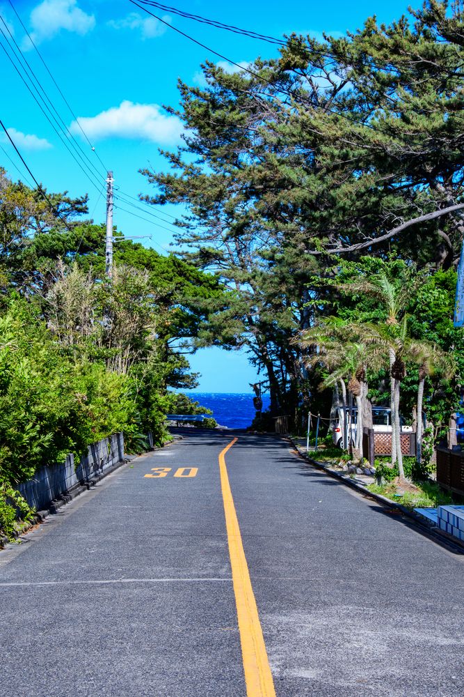 式根島の画像 - 3枚目