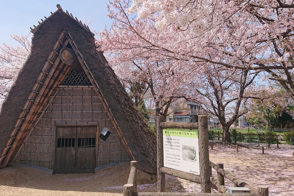 瓜郷遺跡の画像 - 2枚目