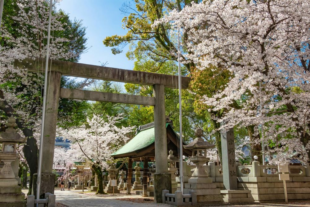 那古野神社の画像 - 4枚目
