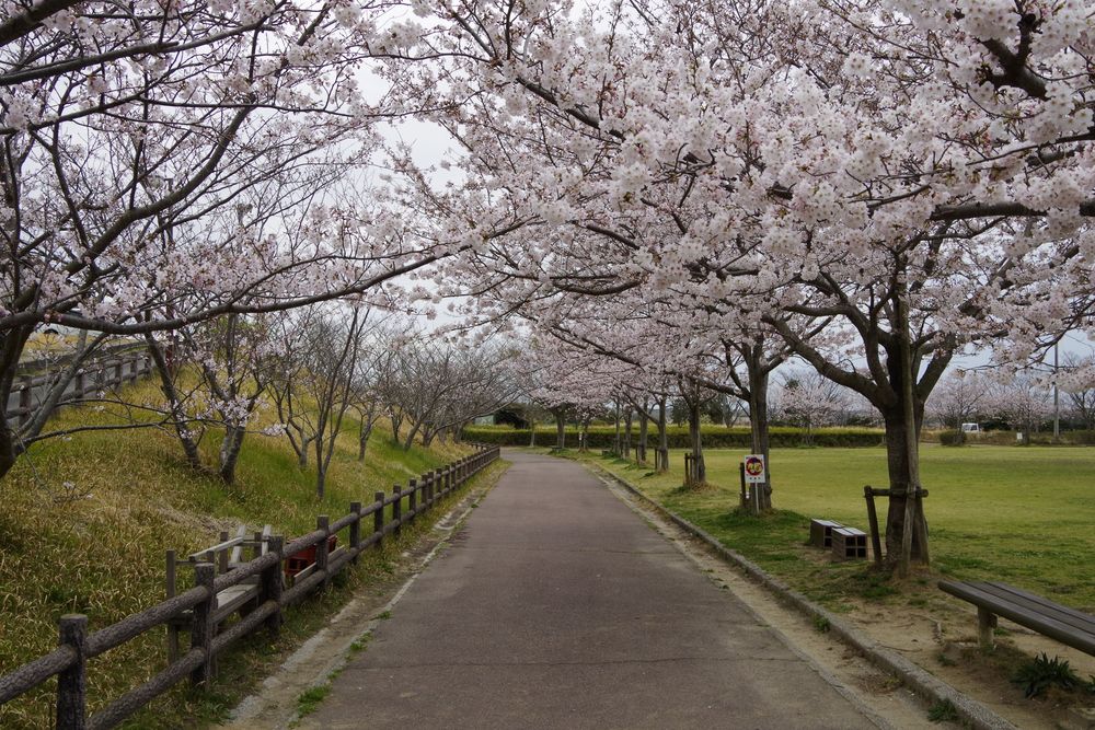 小脇公園の画像 - 2枚目