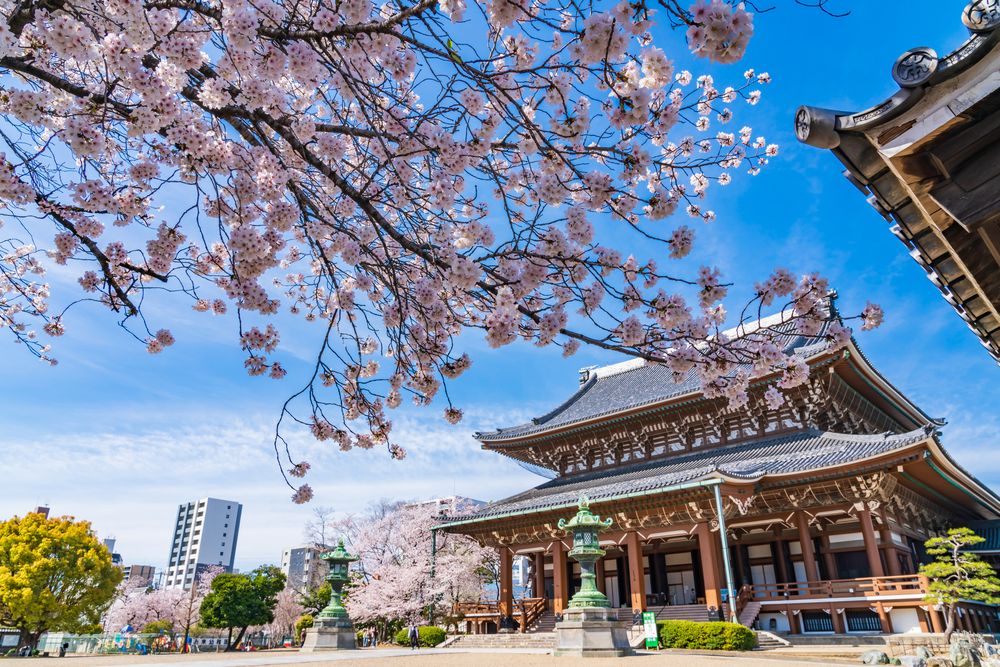 真宗大谷派 名古屋別院の画像 - 4枚目