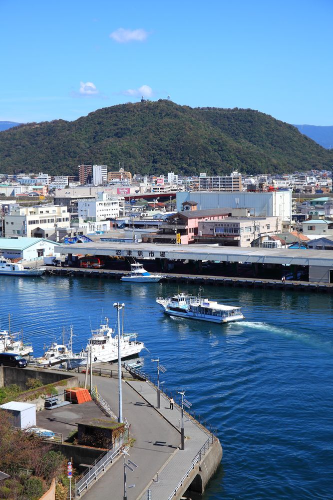 沼津港の画像 - 5枚目
