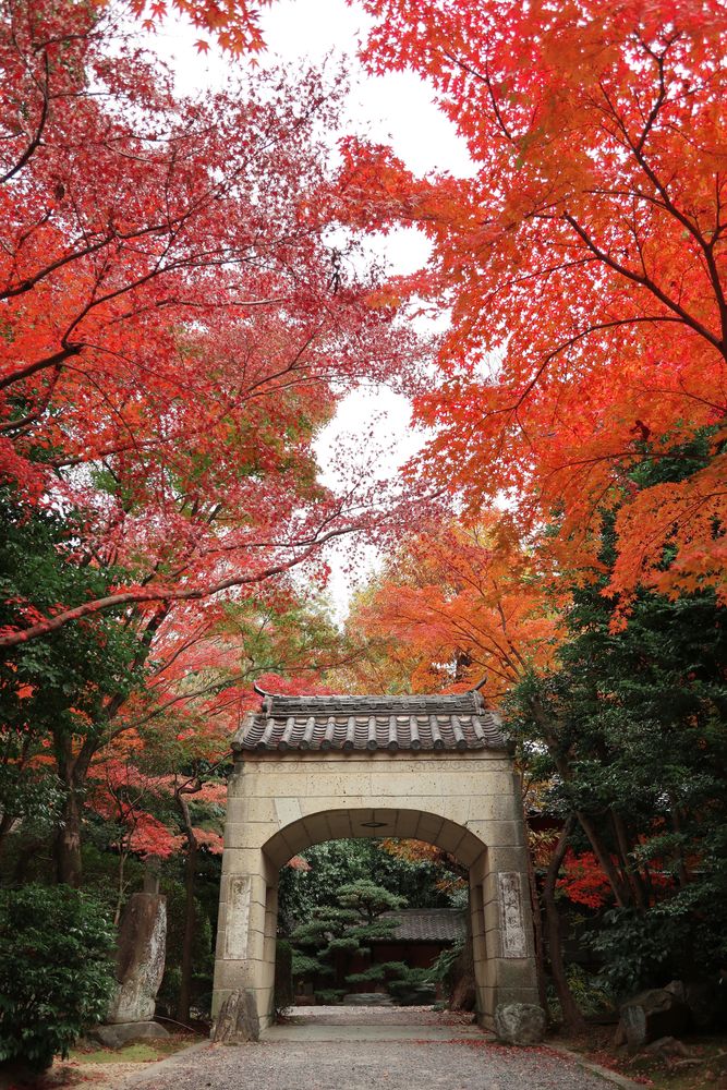 桃巌寺の画像 - 2枚目