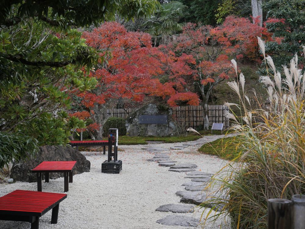 奥殿陣屋の画像 - 4枚目