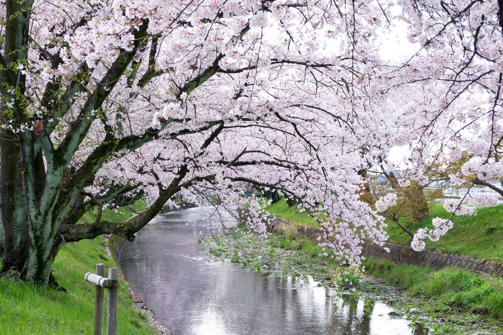 堀尾跡公園の画像 - 2枚目