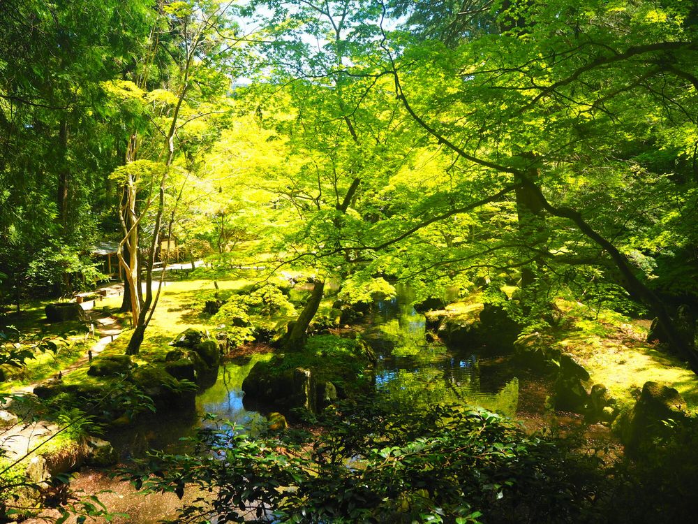北畠氏館跡庭園の画像 - 3枚目
