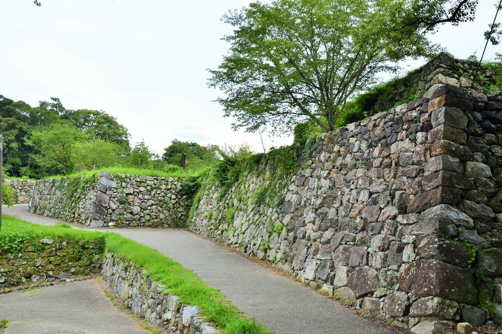 田丸城跡の画像 - 2枚目