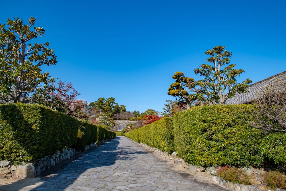 御城番屋敷の画像 - 3枚目