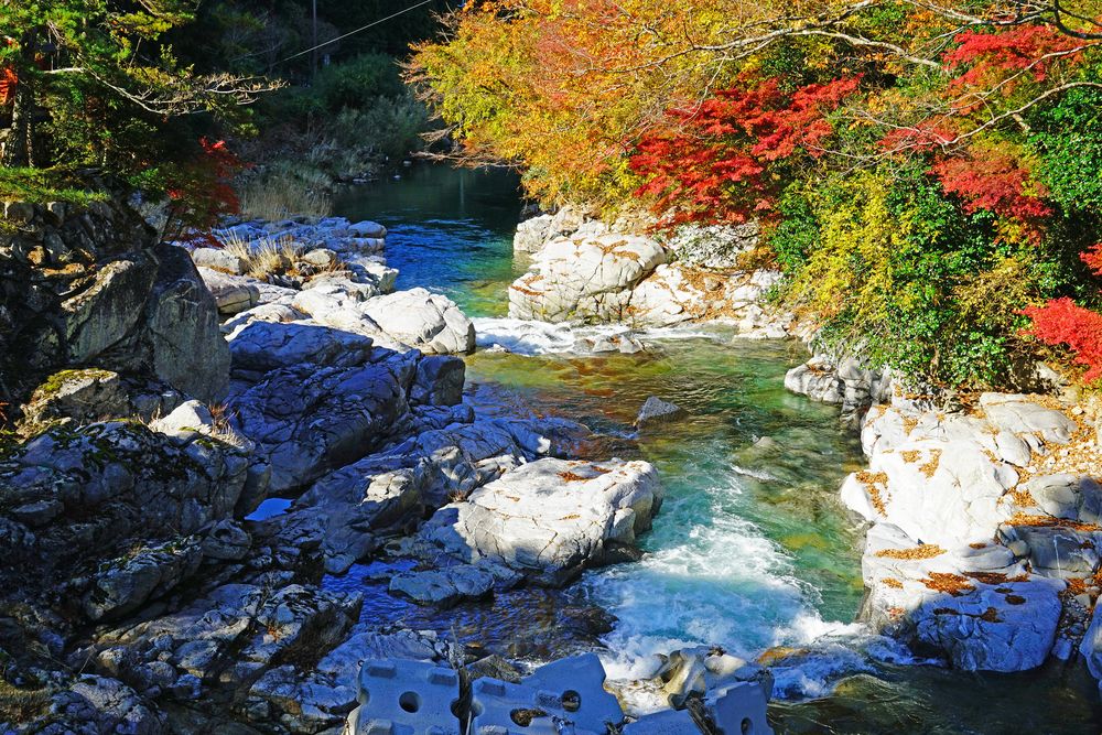 滝春 赤白 赤目四十八滝の紅葉 荷担滝 写真素材 [5816332] - フォトライブ