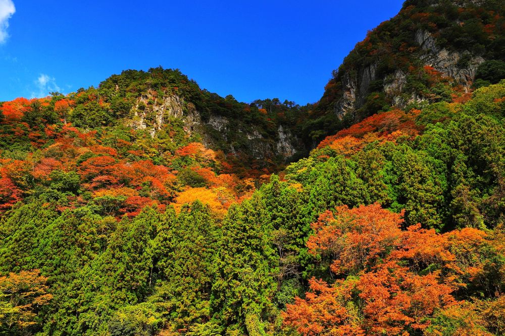 香落渓の画像 - 3枚目